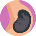 women,healthcare and medical,female,pregnancy,reproduction,fertility,gestation