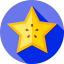 food,vegan,healthy food,food and restaurant,organic,diet,vegetarian,fruit,carambola ok 