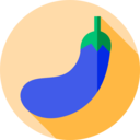 food,vegetable,vegan,healthy food,food and restaurant,organic,diet,vegetarian,vegetables,eggplant,aubergine