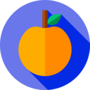 food,vegan,healthy food,food and restaurant,organic,diet,vegetarian,fruit,orange