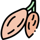 food and restaurant,nature,beans,dessert,cocoa,chocolate,sweet food,cocoa bean ok 