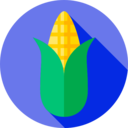 food,vegan,healthy food,food and restaurant,organic,diet,vegetarian,cereal,corn ok 