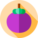 food,vegan,healthy food,food and restaurant,organic,diet,vegetarian,fruit,mangosteen ok 