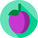 food,vegan,healthy food,food and restaurant,organic,diet,vegetarian,fruit,plum
