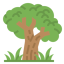 smart,nature,farming and gardening,farm,agriculture,tree,eco,environment