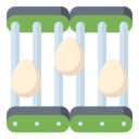 egg,smart,farming and gardening,farm,agriculture,product,conveyor