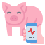 Favicon