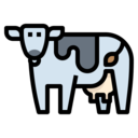 smart,farming and gardening,farm,agriculture,cow,livestock