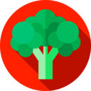 food,vegetable,vegan,healthy food,food and restaurant,vegetarian,foods,supermarket,vegetables,broccoli