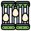 egg,smart,farming and gardening,farm,agriculture,product,conveyor