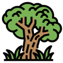 smart,nature,farming and gardening,farm,agriculture,tree,eco,environment ok 