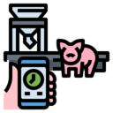 time,smart,phone,network,monitor,farming and gardening,farm,agriculture,feeder,pig ok 