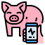 Favicon