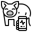 Favicon