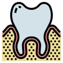 medical,healthcare and medical,Tools and utensils,teeth,dentist,tooth,dental,molar