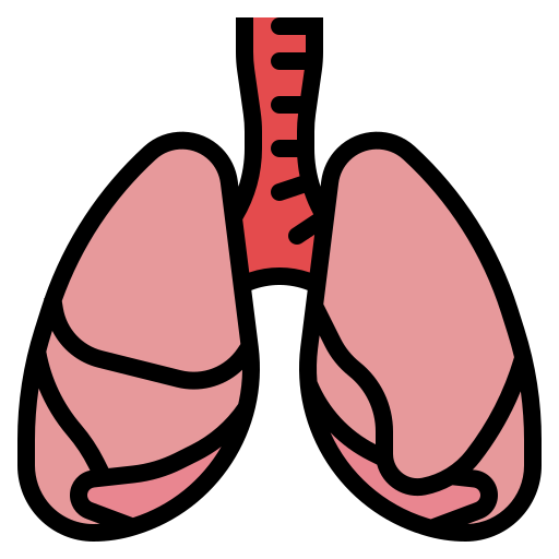 Lungs