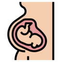 healthcare and medical,female,baby,pregnancy,reproduction,womb,fertility,gestation,pregnant