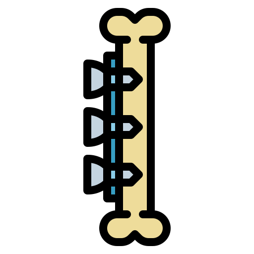 Bone