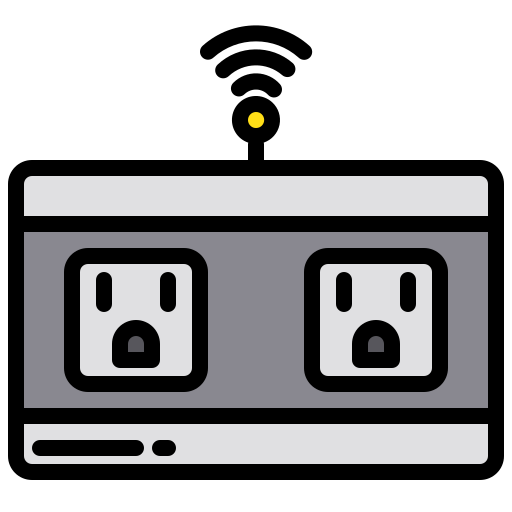 Plug