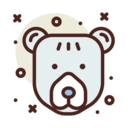 animals,mammal,wild life,animal kingdom,animal,wild,bear,northern