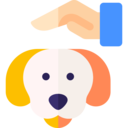 animals,pet,care,healthcare and medical,hand,dog,hands and gestures