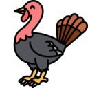 turkey,animals,bird,animal,thanksgiving,farmer