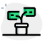 Favicon
