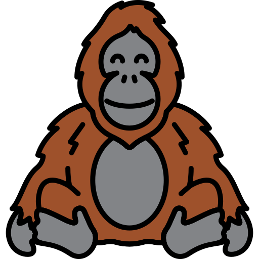 Orangutan