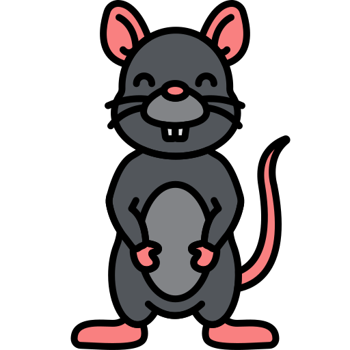 Rat