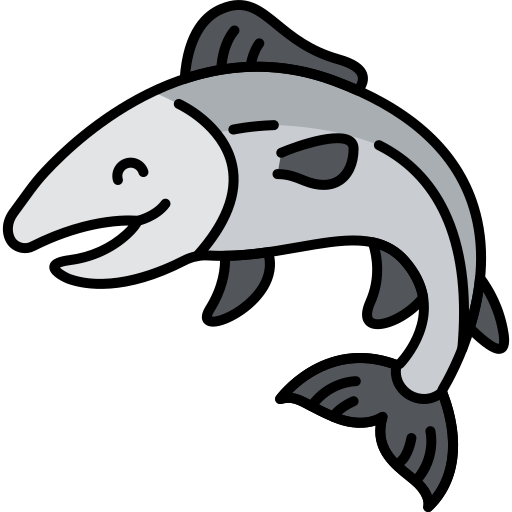 Salmon