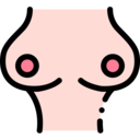 healthcare and medical,education,healthcare,people,diagram,body,anatomy,breast,physiology,human,boobs,tits