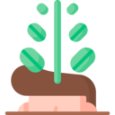 brain,smart,miscellaneous,development,mind,plant,creative,thinking,growing,mindset