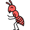 animals,animal kingdom,animal,insect,insects,ant,arthropod,ants,arthropods