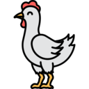 animals,bird,farming and gardening,farm,chicken