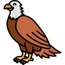 animals,wild life,animal kingdom,zoo,eagle