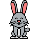 rabbit,bunny,easter bunny,animals,mammal,wildlife,animal kingdom,animal