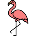 animals,wildlife,animal kingdom,zoo,bird,flamingo,flamingos