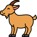 animals,wild life,animal kingdom,zoo,animal,goat