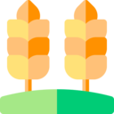 food and restaurant,nature,branch,rice,farming and gardening,cereal,wheat,grain,seed