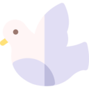 animals,peace,bird,pigeon,dove,fly,wings