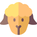 animals,mammal,wildlife,animal,lamb,wool,sheep