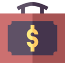 money,business and finance,investment,dollar,business,briefcase,portfolio,suitcase,salary
