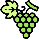 food,vegan,healthy food,food and restaurant,organic,diet,vegetarian,fruit,grape,grapes