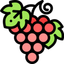 food,food and restaurant,fruit,grape,grapes,fruits,berry,berries,bouquet