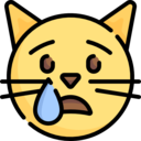 cat,emoji,feelings,smileys,emoticons