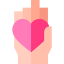ui,miscellaneous,charity,heart,hand,love,donation,love and romance,hands,gestures,hands and gestures,hand gesture,Solidarity,loyalty