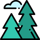 landscape,nature,trees,woods,forest,pines ok 