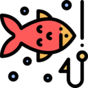 sports and competition,sport,sports,leisure,fishing,camping ok 