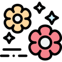 nature,botanical,flower,blossom,petals,flowers