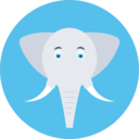 animals,wild life,animal kingdom,zoo,elephant ok 